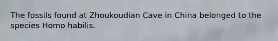 The fossils found at Zhoukoudian Cave in China belonged to the species Homo habilis.