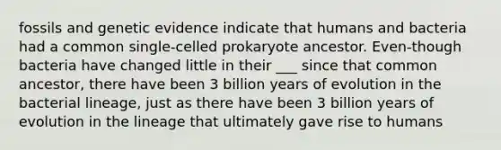 fossils and genetic evidence indicate that humans and bacteria had a common single-celled prokaryote ancestor. Even-though bacteria have changed little in their ___ since that common ancestor, there have been 3 billion years of evolution in the bacterial lineage, just as there have been 3 billion years of evolution in the lineage that ultimately gave rise to humans