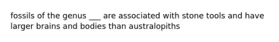 fossils of the genus ___ are associated with stone tools and have larger brains and bodies than australopiths