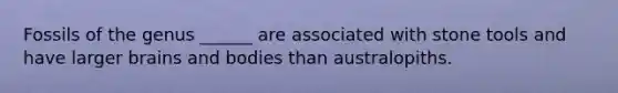 Fossils of the genus ______ are associated with stone tools and have larger brains and bodies than australopiths.