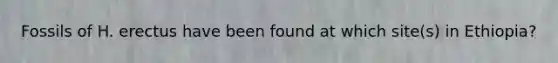 Fossils of H. erectus have been found at which site(s) in Ethiopia?