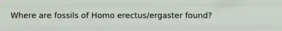 Where are fossils of <a href='https://www.questionai.com/knowledge/kI1ONx7LAC-homo-erectus' class='anchor-knowledge'>homo erectus</a>/ergaster found?
