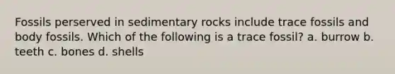 Fossils perserved in sedimentary rocks include trace fossils and body fossils. Which of the following is a trace fossil? a. burrow b. teeth c. bones d. shells