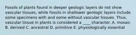 Fossils of plants found in deeper geologic layers do not show vascular tissues, while fossils in shallower geologic layers include some specimens with and some without vascular tissues. Thus, vascular tissue in plants is considered a ____ character. A. mosaic B. derived C. ancestral D. primitive E. physiologically essential