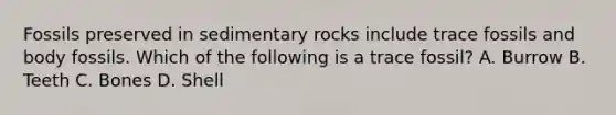 Fossils preserved in sedimentary rocks include trace fossils and body fossils. Which of the following is a trace fossil? A. Burrow B. Teeth C. Bones D. Shell