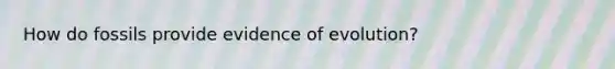 How do fossils provide evidence of evolution?