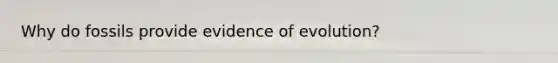 Why do fossils provide evidence of evolution?