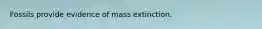 Fossils provide evidence of mass extinction.