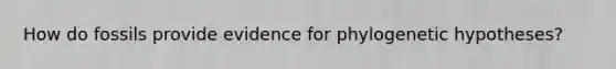 How do fossils provide evidence for phylogenetic hypotheses?