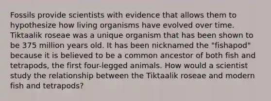 Fossils provide scientists with evidence that allows them to hypothesize how living organisms have evolved over time. Tiktaalik roseae was a unique organism that has been shown to be 375 million years old. It has been nicknamed the "fishapod" because it is believed to be a common ancestor of both fish and tetrapods, the first four-legged animals. How would a scientist study the relationship between the Tiktaalik roseae and modern fish and tetrapods?