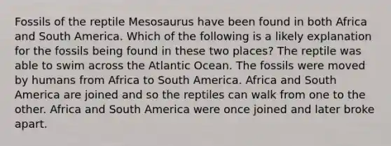 Fossils of the reptile Mesosaurus have been found in both Africa and South America. Which of the following is a likely explanation for the fossils being found in these two places? The reptile was able to swim across the Atlantic Ocean. The fossils were moved by humans from Africa to South America. Africa and South America are joined and so the reptiles can walk from one to the other. Africa and South America were once joined and later broke apart.