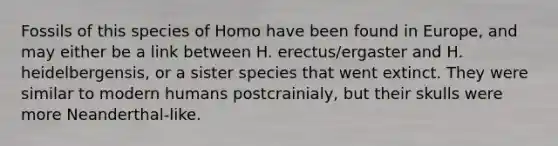 Fossils of this species of Homo have been found in Europe, and may either be a link between H. erectus/ergaster and H. heidelbergensis, or a sister species that went extinct. They were similar to modern humans postcrainialy, but their skulls were more Neanderthal-like.