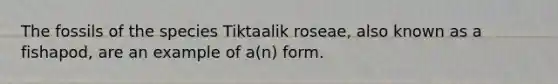 The fossils of the species Tiktaalik roseae, also known as a fishapod, are an example of a(n) form.