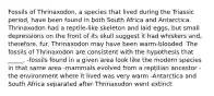 Fossils of Thrinaxodon, a species that lived during the Triassic period, have been found in both South Africa and Antarctica. Thrinaxodon had a reptile-like skeleton and laid eggs, but small depressions on the front of its skull suggest it had whiskers and, therefore, fur. Thrinaxodon may have been warm-blooded. The fossils of Thrinaxodon are consistent with the hypothesis that _____. -fossils found in a given area look like the modern species in that same area -mammals evolved from a reptilian ancestor -the environment where it lived was very warm -Antarctica and South Africa separated after Thrinaxodon went extinct