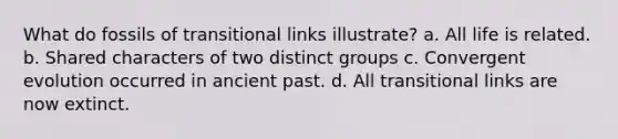 What do fossils of transitional links illustrate? a. All life is related. b. Shared characters of two distinct groups c. Convergent evolution occurred in ancient past. d. All transitional links are now extinct.