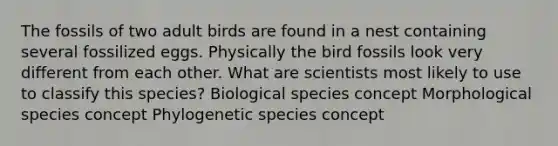 The fossils of two adult birds are found in a nest containing several fossilized eggs. Physically the bird fossils look very different from each other. What are scientists most likely to use to classify this species? Biological species concept Morphological species concept Phylogenetic species concept