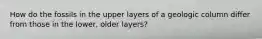 How do the fossils in the upper layers of a geologic column differ from those in the lower, older layers?