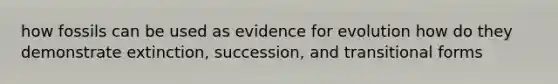 how fossils can be used as evidence for evolution how do they demonstrate extinction, succession, and transitional forms