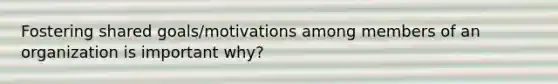 Fostering shared goals/motivations among members of an organization is important why?