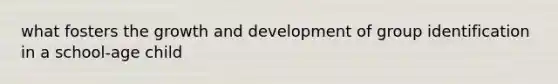 what fosters the growth and development of group identification in a school-age child