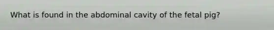 What is found in the abdominal cavity of the fetal pig?