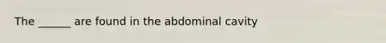 The ______ are found in the abdominal cavity