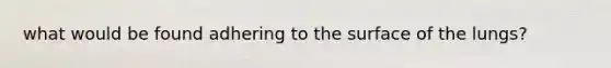 what would be found adhering to the surface of the lungs?
