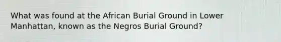 What was found at the African Burial Ground in Lower Manhattan, known as the Negros Burial Ground?