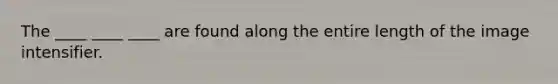 The ____ ____ ____ are found along the entire length of the image intensifier.