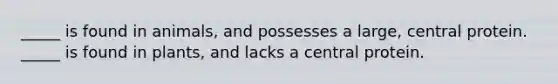 _____ is found in animals, and possesses a large, central protein. _____ is found in plants, and lacks a central protein.