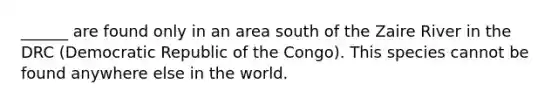 ______ are found only in an area south of the Zaire River in the DRC (Democratic Republic of the Congo). This species cannot be found anywhere else in the world.