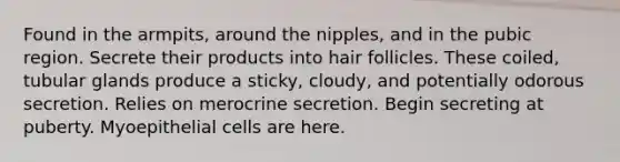 Found in the armpits, around the nipples, and in the pubic region. Secrete their products into hair follicles. These coiled, tubular glands produce a sticky, cloudy, and potentially odorous secretion. Relies on merocrine secretion. Begin secreting at puberty. Myoepithelial cells are here.