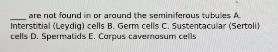 ____ are not found in or around the seminiferous tubules A. Interstitial (Leydig) cells B. Germ cells C. Sustentacular (Sertoli) cells D. Spermatids E. Corpus cavernosum cells