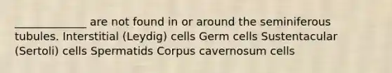 _____________ are not found in or around the seminiferous tubules. Interstitial (Leydig) cells Germ cells Sustentacular (Sertoli) cells Spermatids Corpus cavernosum cells