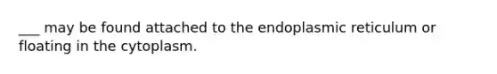 ___ may be found attached to the endoplasmic reticulum or floating in the cytoplasm.