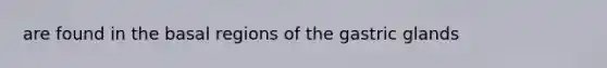are found in the basal regions of the gastric glands