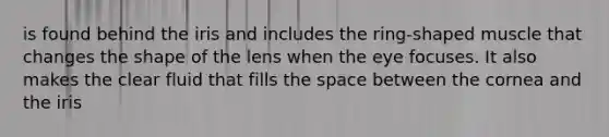 is found behind the iris and includes the ring-shaped muscle that changes the shape of the lens when the eye focuses. It also makes the clear fluid that fills the space between the cornea and the iris