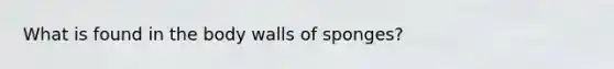 What is found in the body walls of sponges?