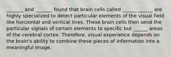 _______ and _______ found that brain cells called ______ ______ are highly specialized to detect particular elements of the visual field like horizontal and vertical lines. These brain cells then send the particular signals of certain elements to specific but ______ areas of the cerebral cortex. Therefore, visual experience depends on the brain's ability to combine these pieces of information into a meaningful image.