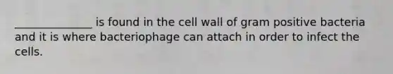 ______________ is found in the cell wall of gram positive bacteria and it is where bacteriophage can attach in order to infect the cells.