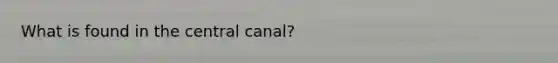 What is found in the central canal?