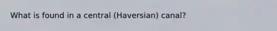 What is found in a central (Haversian) canal?