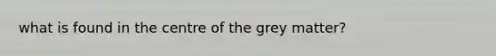 what is found in the centre of the grey matter?
