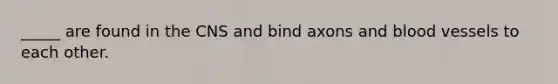 _____ are found in the CNS and bind axons and blood vessels to each other.