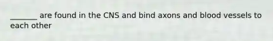 _______ are found in the CNS and bind axons and blood vessels to each other