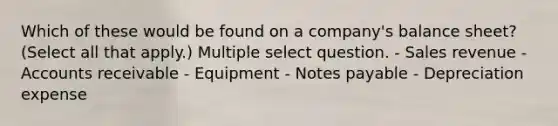 Which of these would be found on a company's balance sheet? (Select all that apply.) Multiple select question. - Sales revenue - Accounts receivable - Equipment - Notes payable - Depreciation expense