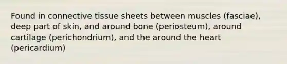 Found in <a href='https://www.questionai.com/knowledge/kYDr0DHyc8-connective-tissue' class='anchor-knowledge'>connective tissue</a> sheets between muscles (fasciae), deep part of skin, and around bone (periosteum), around cartilage (perichondrium), and the around <a href='https://www.questionai.com/knowledge/kya8ocqc6o-the-heart' class='anchor-knowledge'>the heart</a> (pericardium)