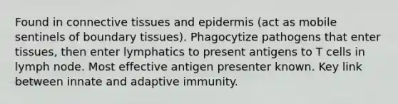 Found in connective tissues and epidermis (act as mobile sentinels of boundary tissues). Phagocytize pathogens that enter tissues, then enter lymphatics to present antigens to T cells in lymph node. Most effective antigen presenter known. Key link between innate and adaptive immunity.