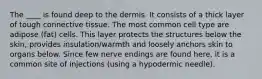 The ____ is found deep to the dermis. It consists of a thick layer of tough connective tissue. The most common cell type are adipose (fat) cells. This layer protects the structures below the skin, provides insulation/warmth and loosely anchors skin to organs below. Since few nerve endings are found here, it is a common site of injections (using a hypodermic needle).