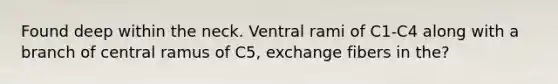 Found deep within the neck. Ventral rami of C1-C4 along with a branch of central ramus of C5, exchange fibers in the?